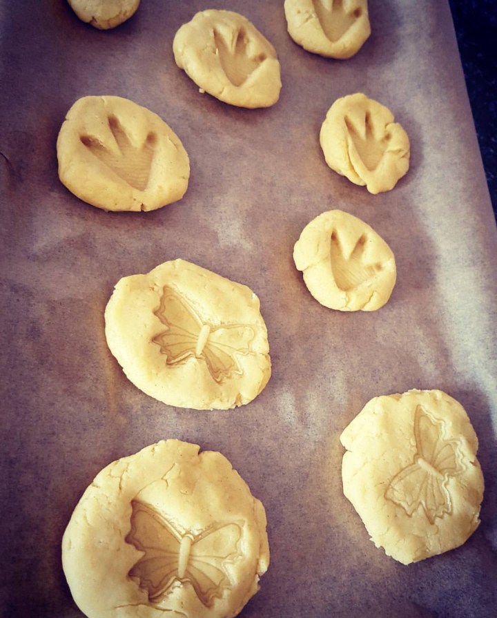 Dinosaur and butterfly print biscuits - kids baking - fossil biscuits