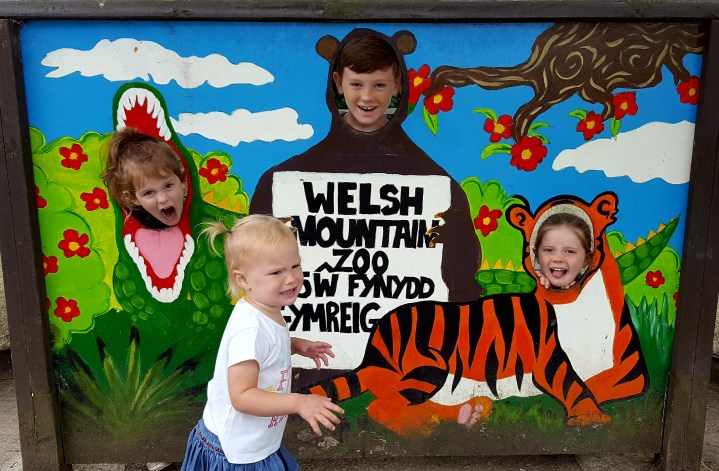 Welsh Mountain Zoo- 4 Freckled Faces