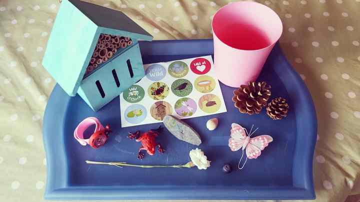 IMG_20180616_203411_236