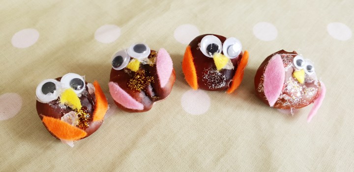 Conker owls. Conkers decorated with felt and goggly eyes to look like owls. 4 Freckled Faces.