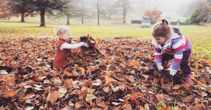 FB_IMG_1542586156836