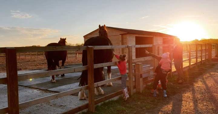 A family outside, stroking horses as the sun is setting. 4 Freckled Faces. Redwings Horse Sanctuary. Norfolk. Family time. Horses. Sunset.