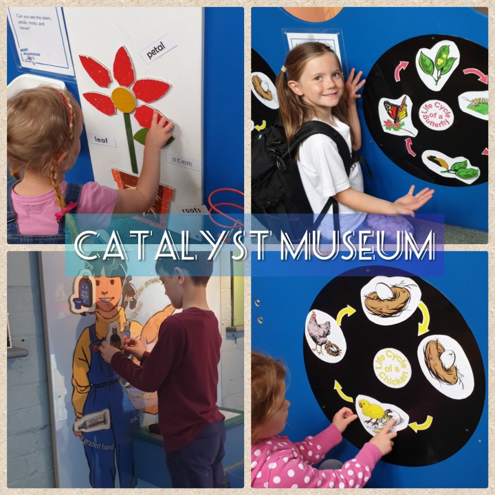 Photo Collage_20190604_125630370.jpg