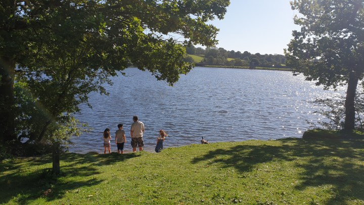 Greenway bank country park. Lake. Trees. Scenic walks in Stoke-on-Trent. 4 Freckled Faces.