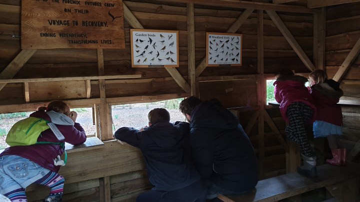 Looking for birds in a bird hide. 4 Freckled Faces. 