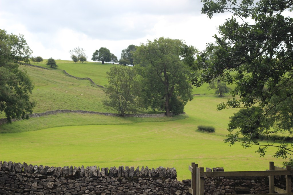 Dovedale. England. Green Hills. 4 Freckled Faces.